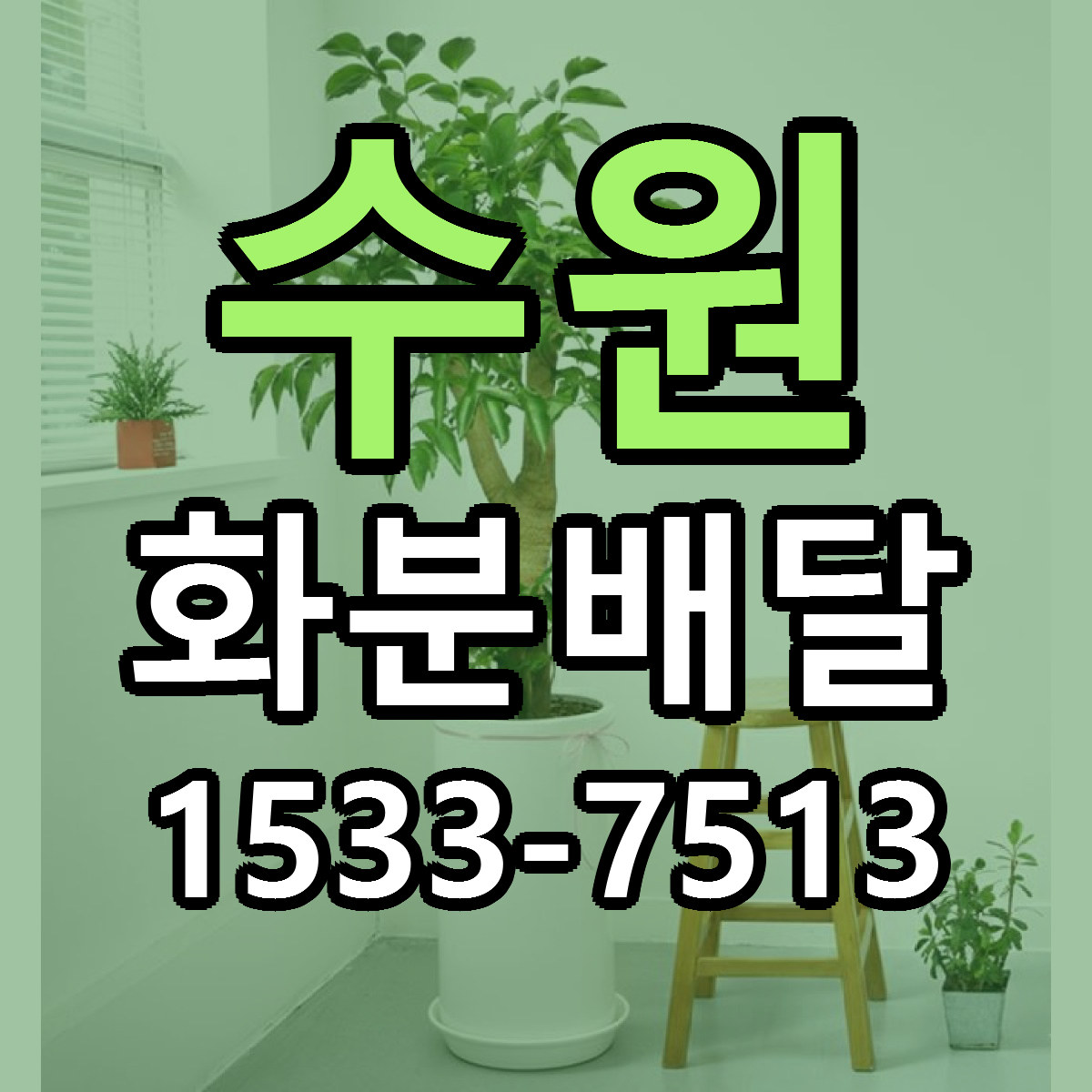 수원 화분배달 근처꽃집 당일배송 리본문구 서비스