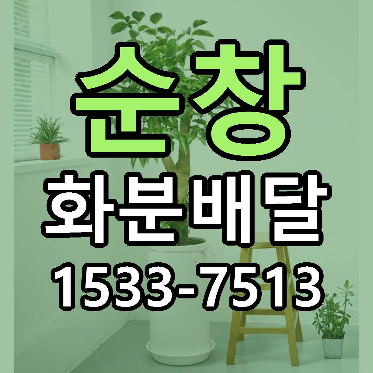 순창 화분배달 리본문구 싼곳 빠른배송 예약