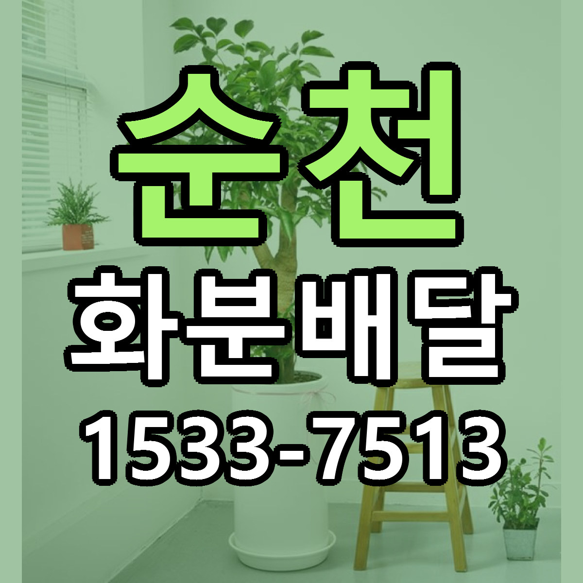 순천 화분배달 싼곳 당일배송 빠른배송 추천