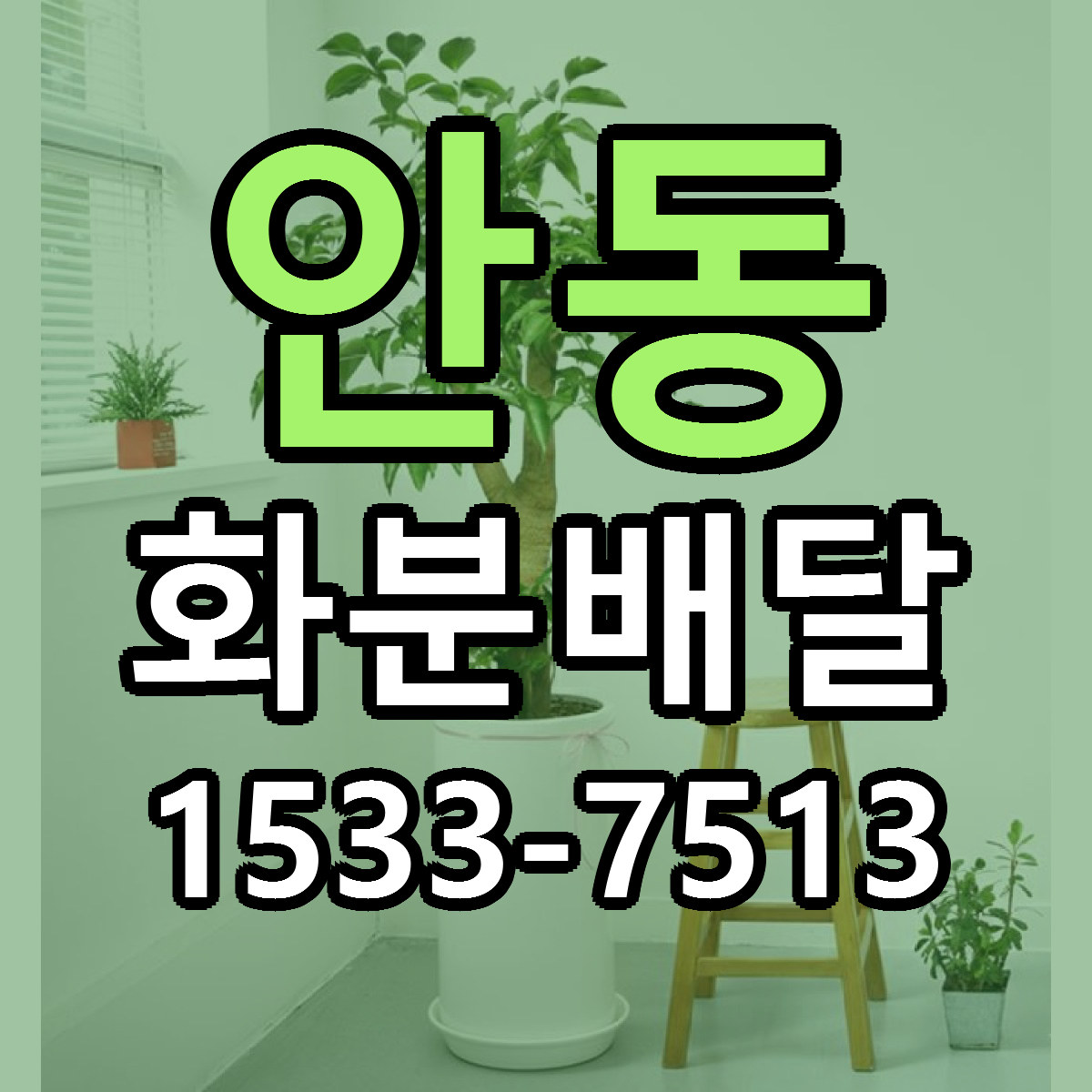 안동 화분배달 근처꽃집 저렴한곳 빠른배송 서비스