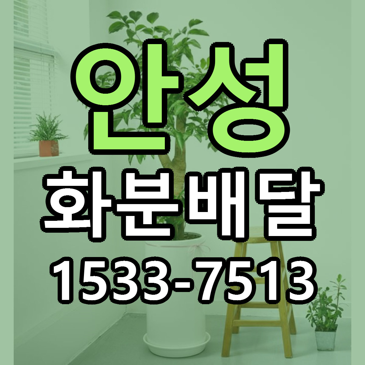 안성 화분배달 근처꽃집 가격 저렴한곳 안내