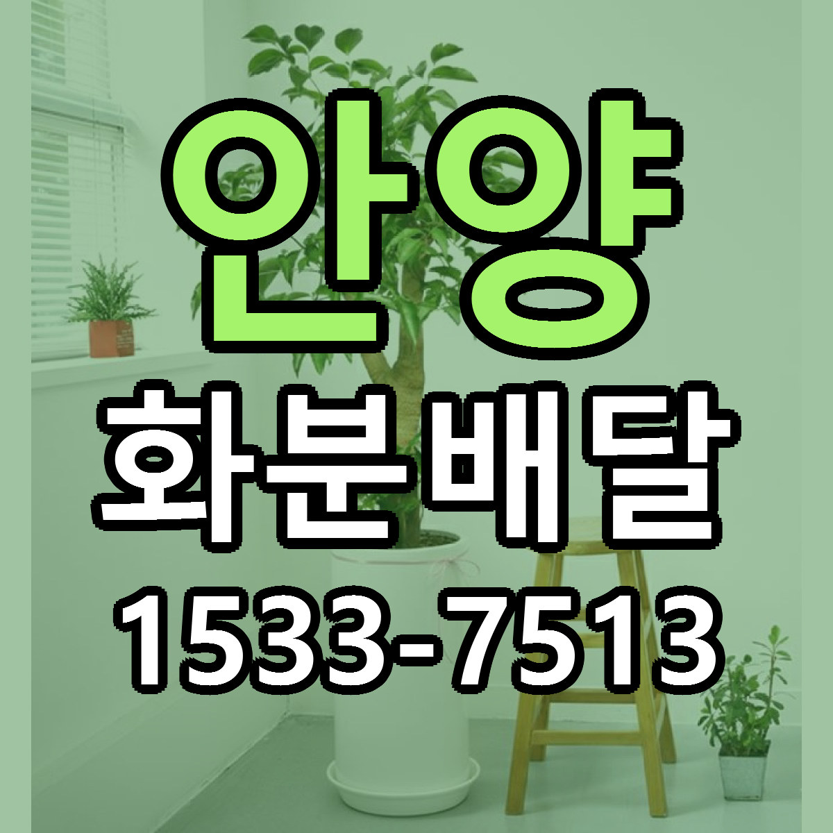 안양 화분배달 근처꽃집 빠른배송 가격 문의