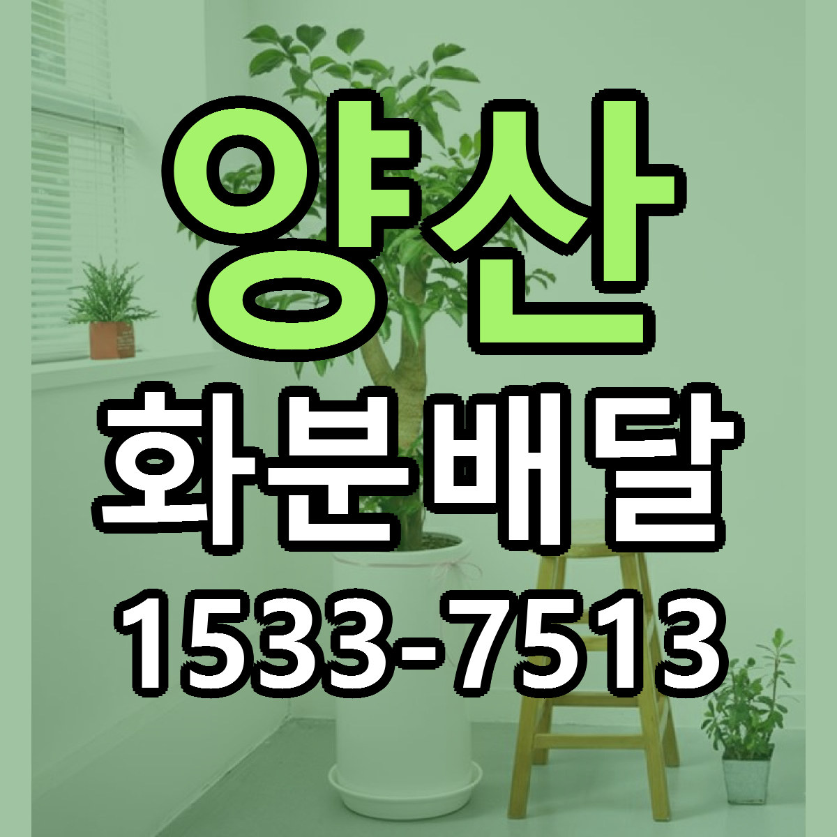 양산 화분배달 빠른배송 리본문구 근처꽃집 예약
