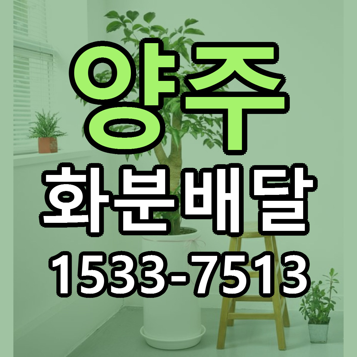 양주 화분배달 빠른배송 저렴한곳 가격 정리