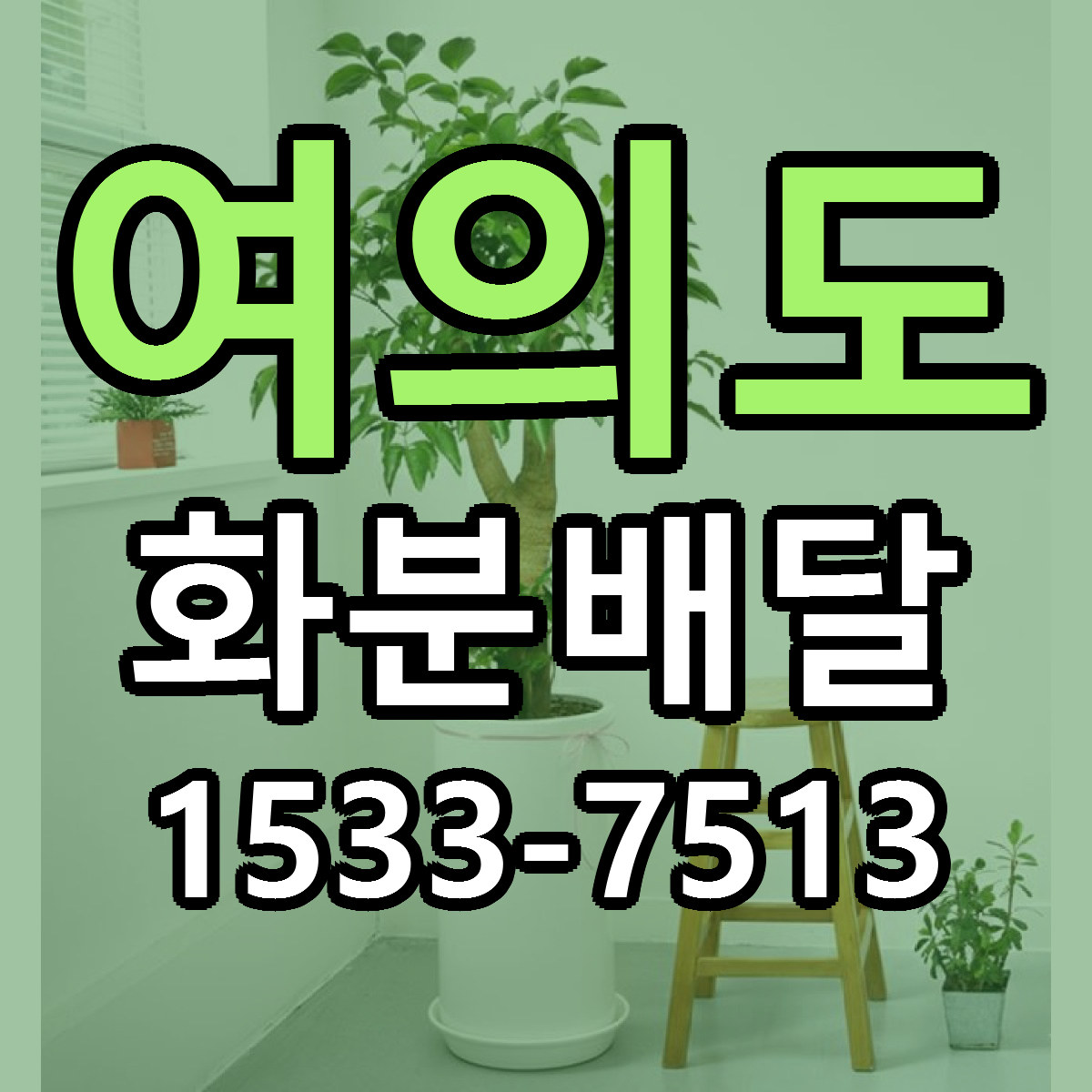 여의도 화분배달 당일배송 리본문구 싼곳 찾기