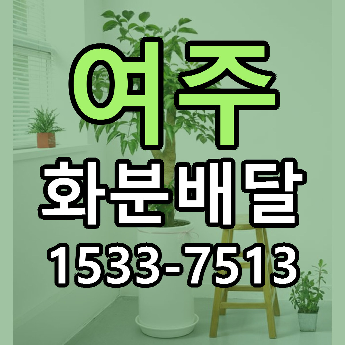 여주 화분배달 저렴한곳 당일배송 근처꽃집 추천