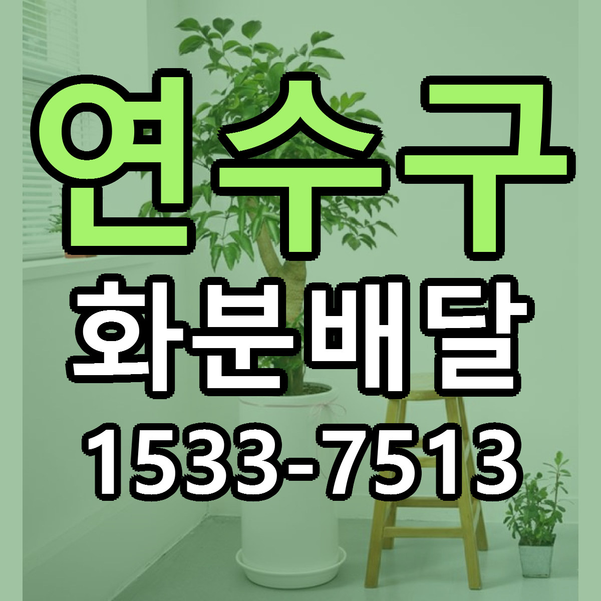 연수구 화분배달 당일배송 리본문구 싼곳 찾기