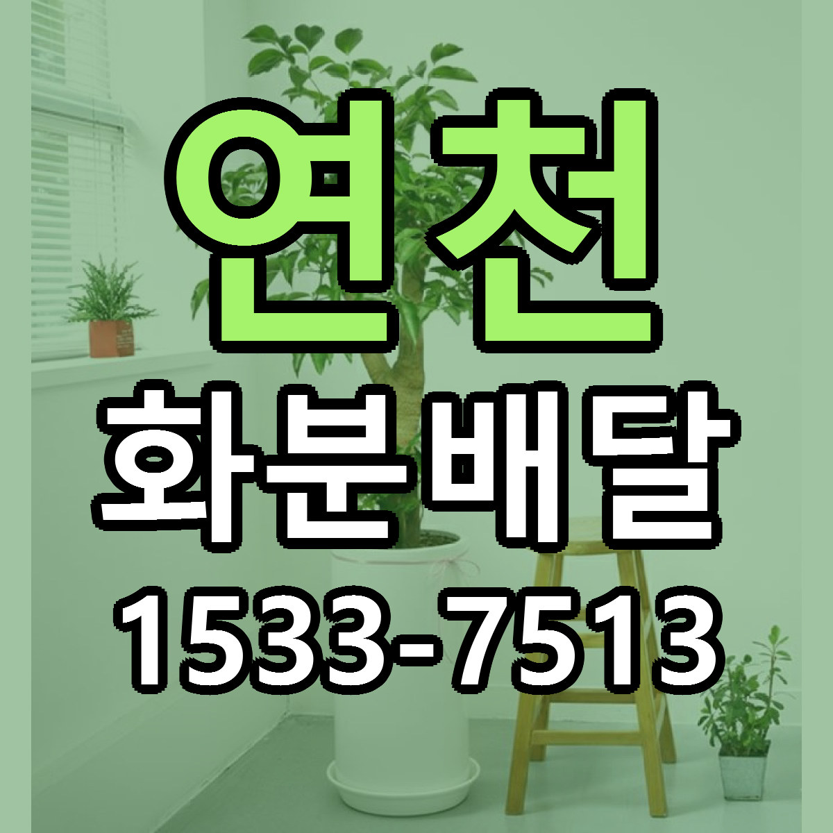 연천 화분배달 당일배송 리본문구 빠른배송 서비스