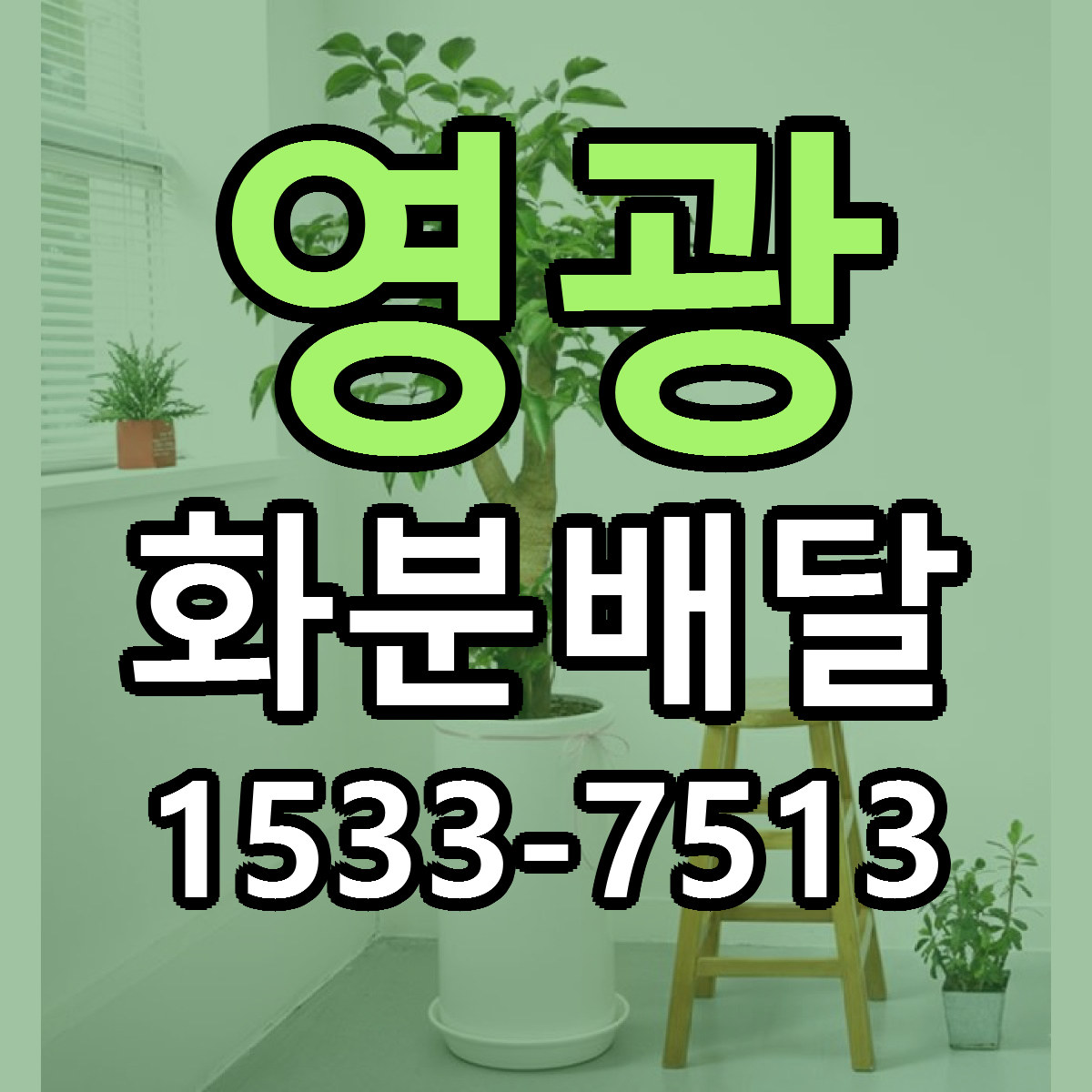 영광 화분배달 근처꽃집 당일배송 리본문구 서비스