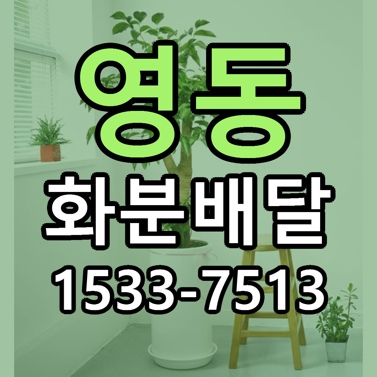 영동 화분배달 당일배송 근처꽃집 싼곳 비교