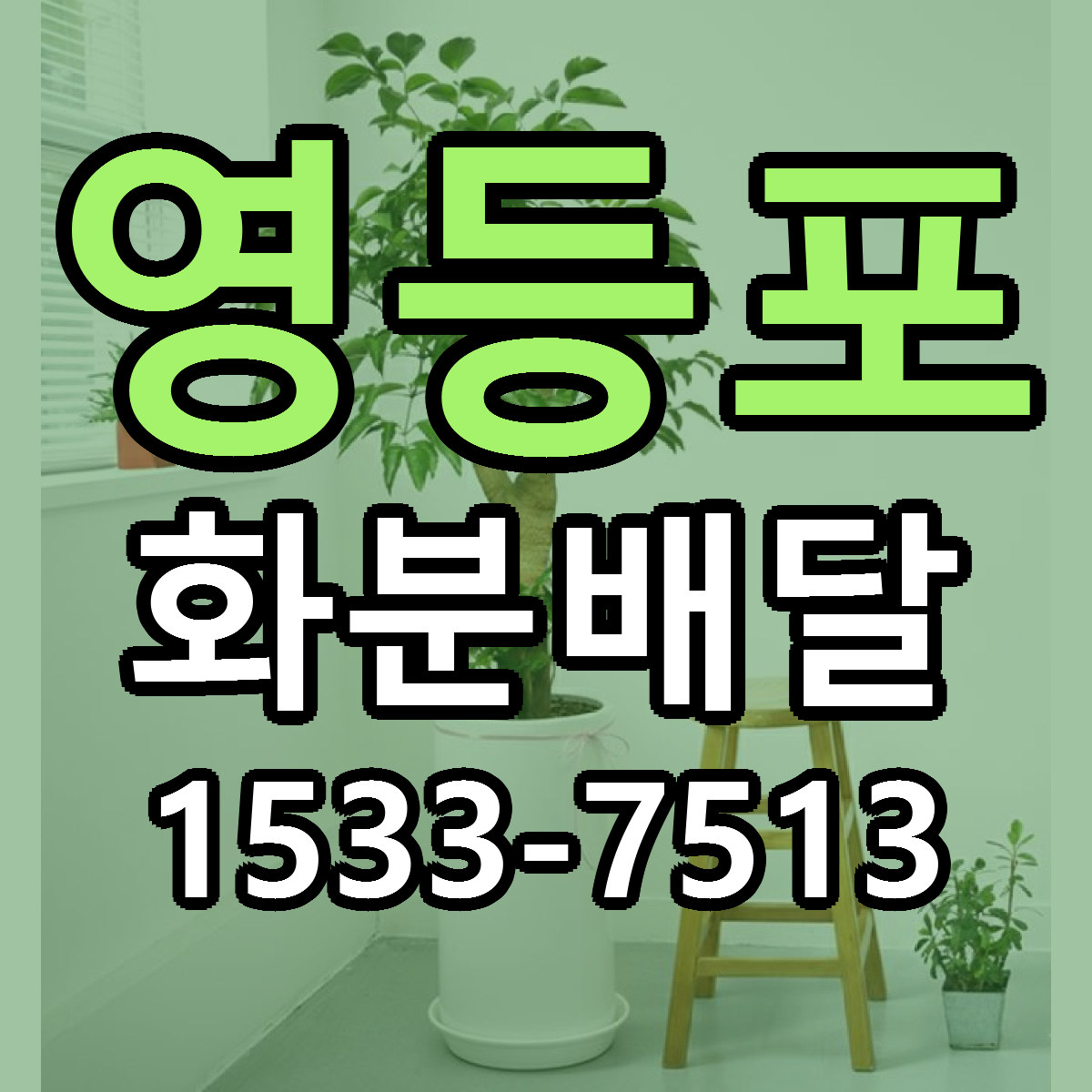 영등포 화분배달 당일배송 근처꽃집 싼곳 비교