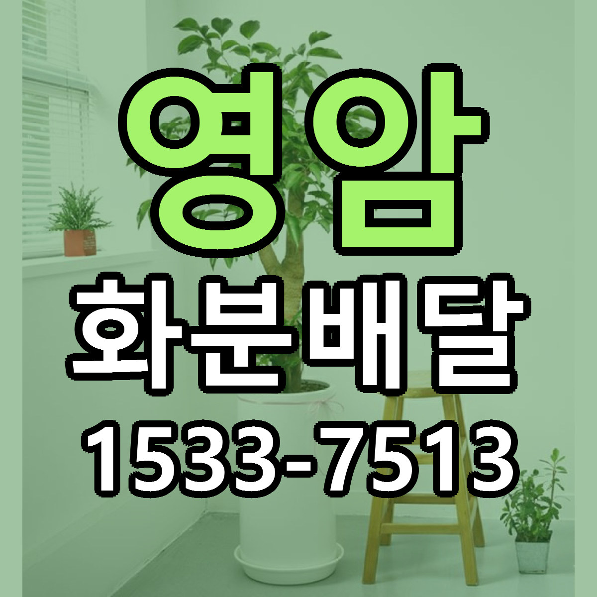 영암 화분배달 빠른배송 저렴한곳 가격 정리