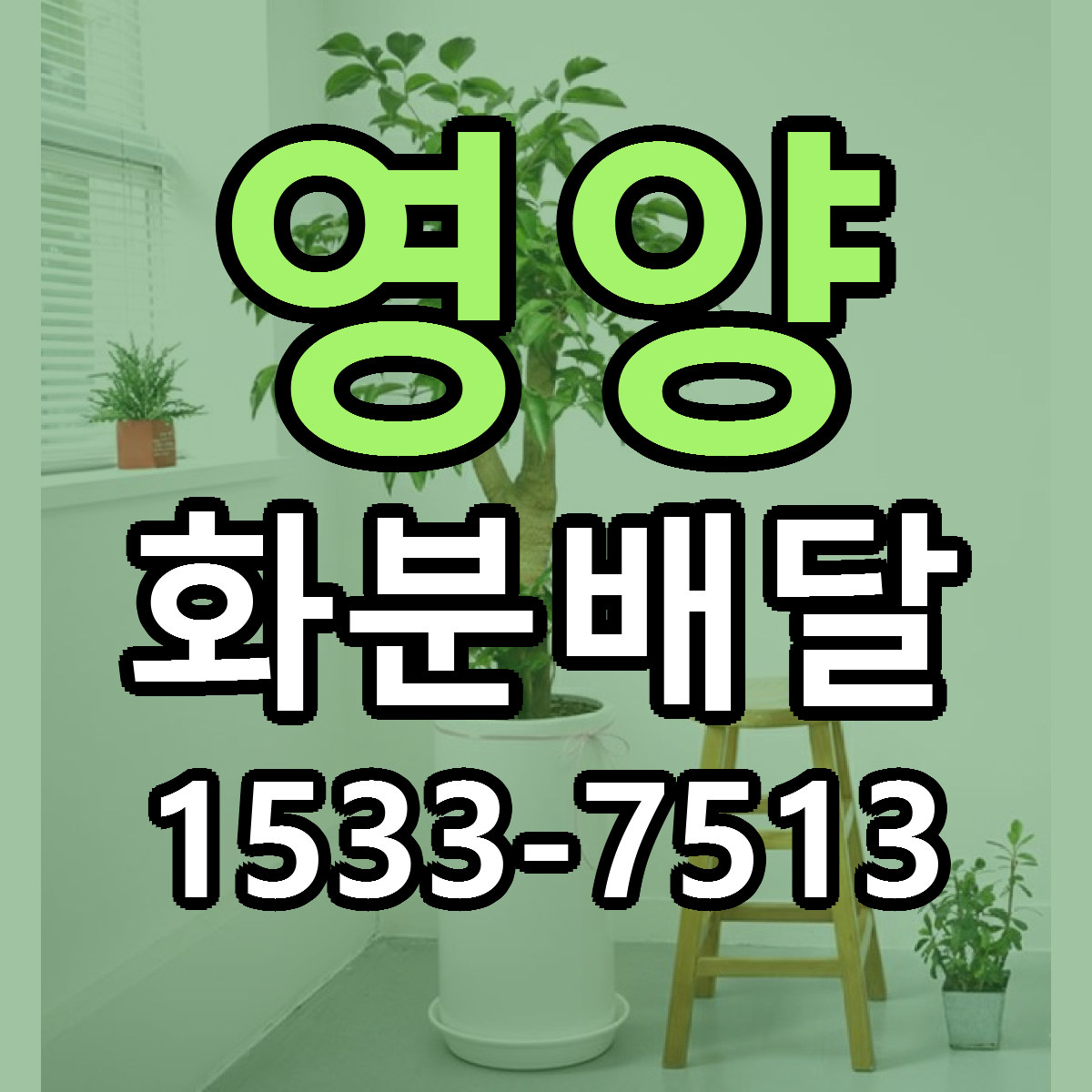 영양 화분배달 근처꽃집 당일배송 리본문구 서비스