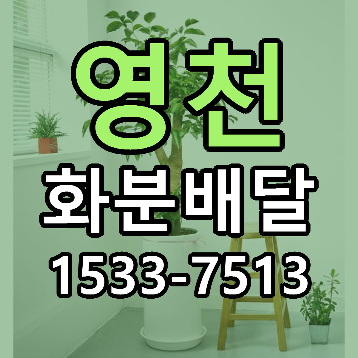 영천 화분배달 근처꽃집 싼곳 빠른배송 안내