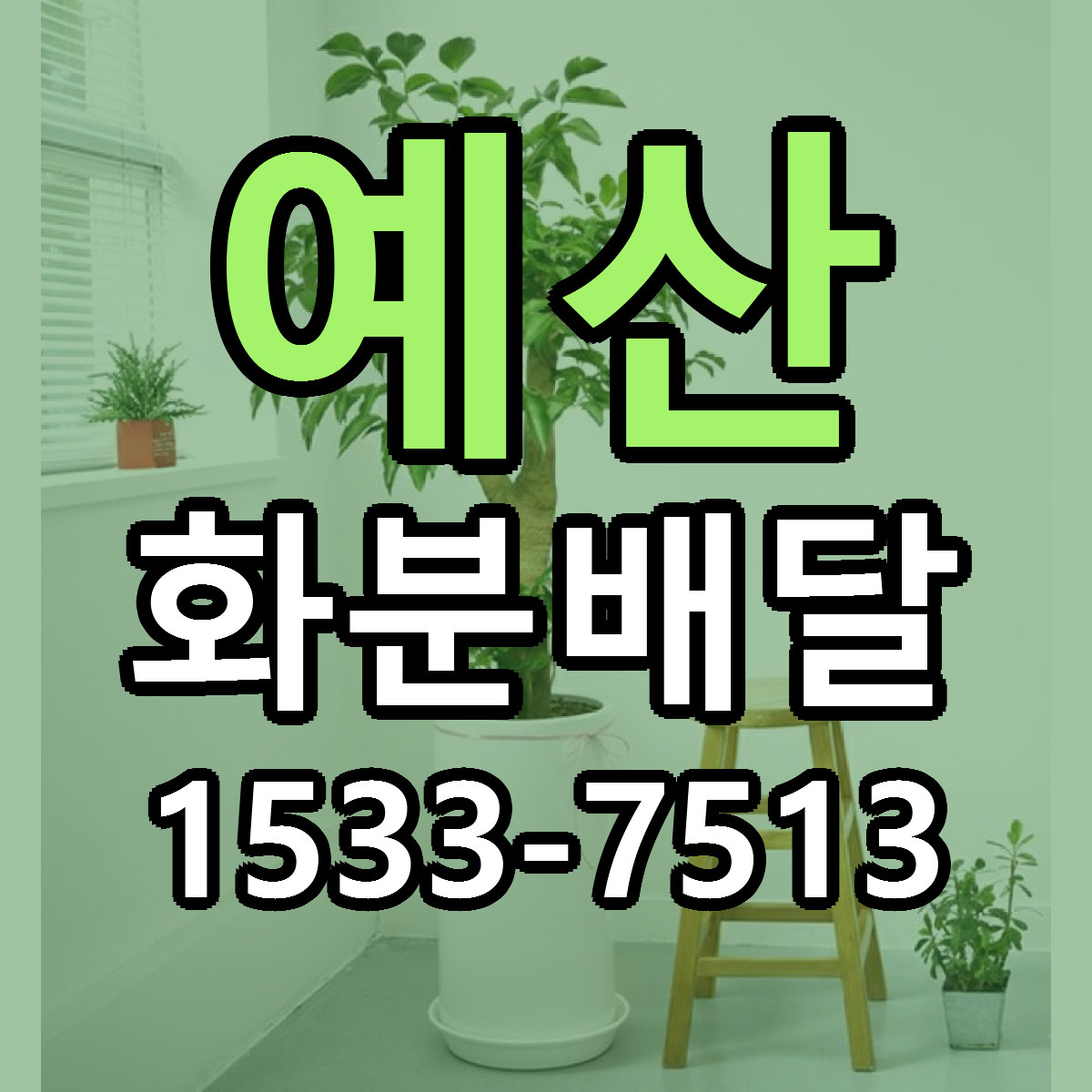 예산 화분배달 당일배송 가격 저렴한곳 추천