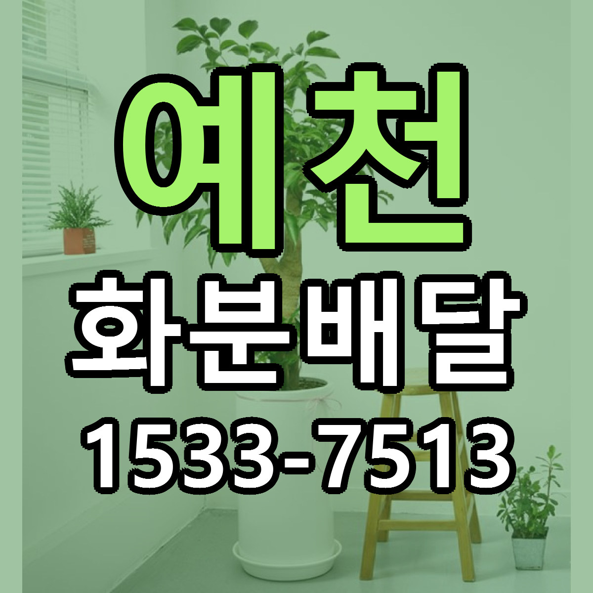 예천 화분배달 당일배송 근처꽃집 싼곳 비교
