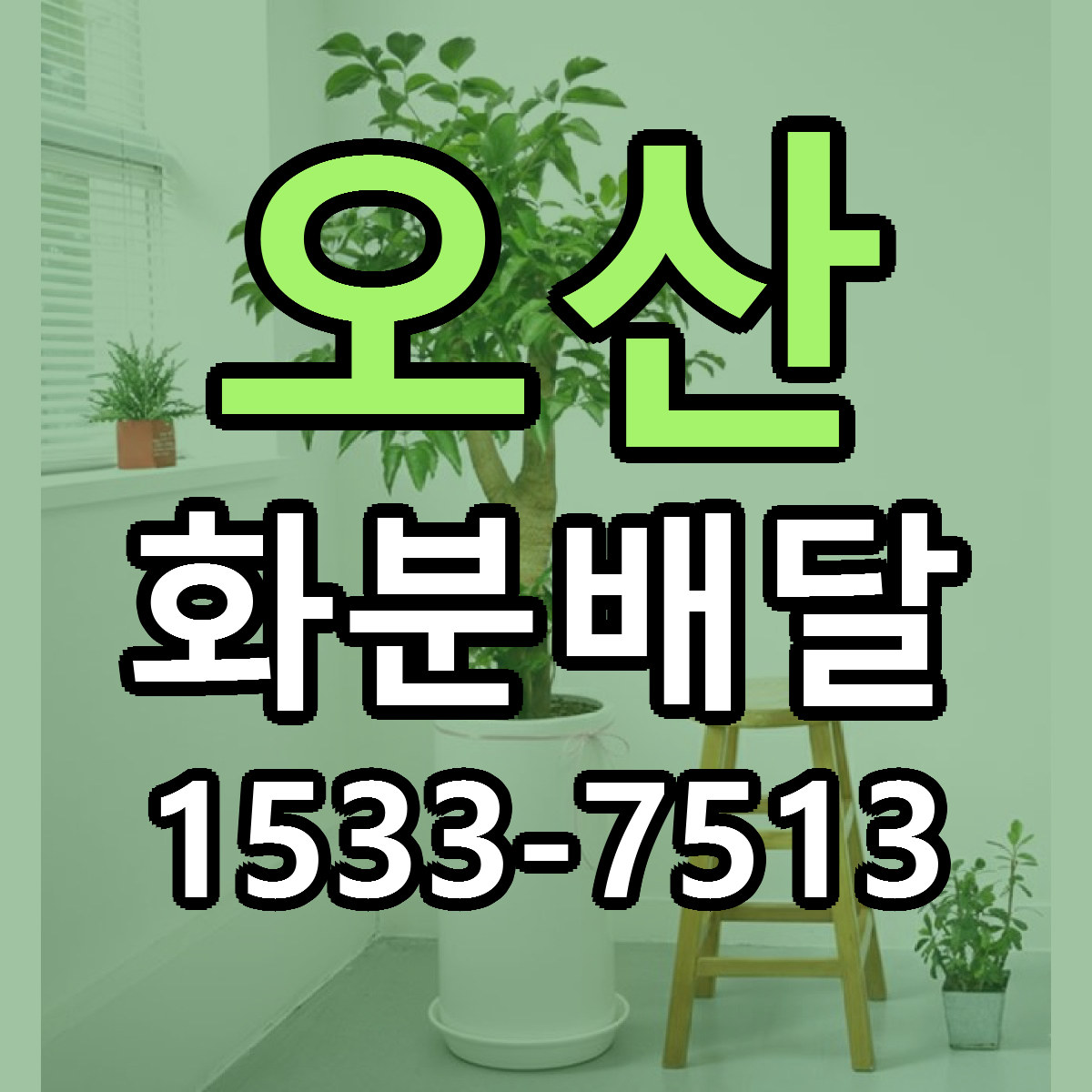 오산 화분배달 당일배송 리본문구 빠른배송 서비스