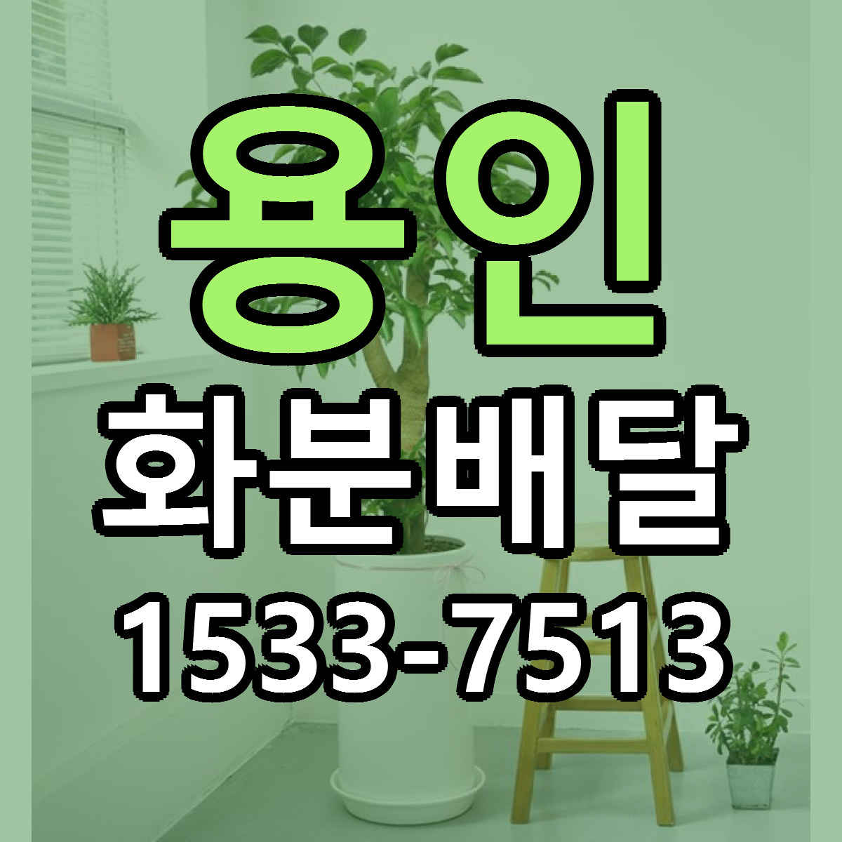 용인 화분배달 리본문구 서비스 저렴한곳 빠른배송
