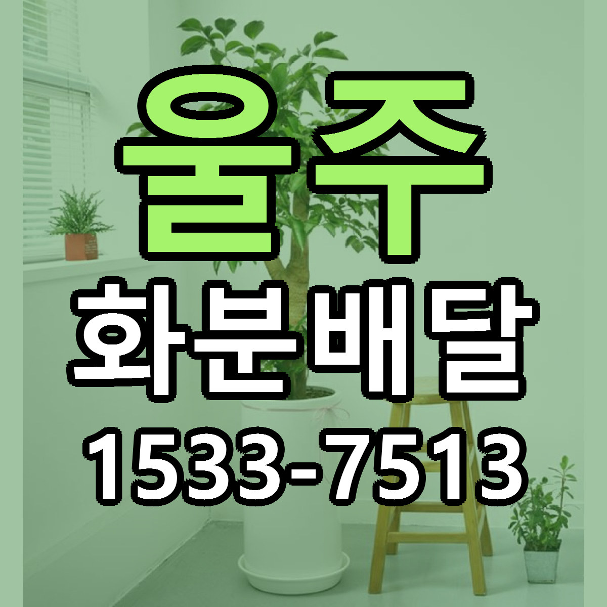울주 화분배달 근처꽃집 당일배송 싼곳 추천