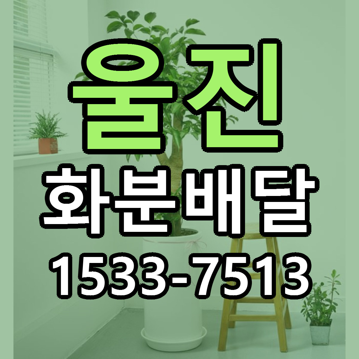 울진 화분배달 근처꽃집 당일배송 가격 안내