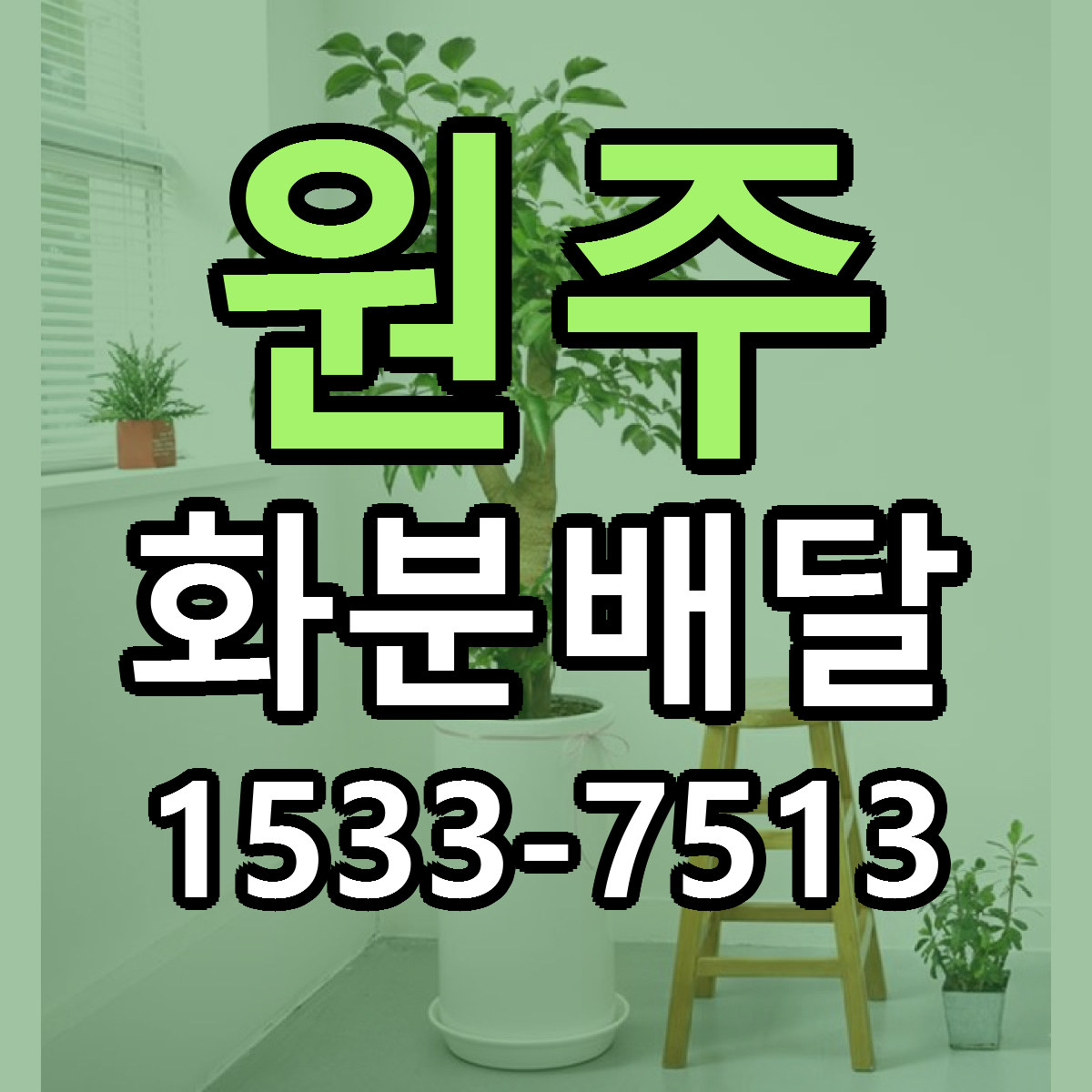 원주 화분배달 당일배송 리본문구 빠른배송 서비스