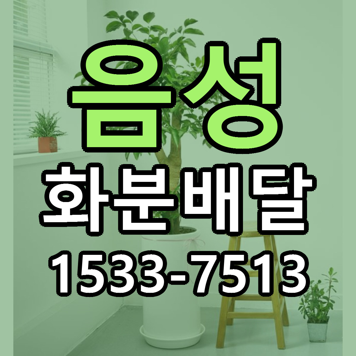 음성 화분배달 리본문구 근처꽃집 저렴한곳 예약