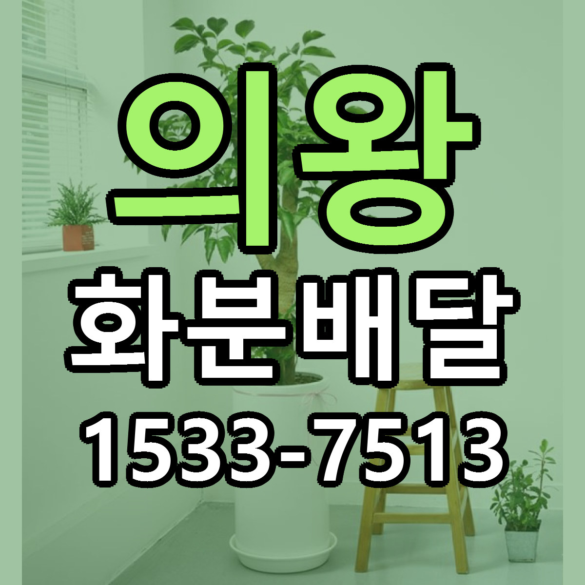 의왕 화분배달 근처꽃집 빠른배송 가격 문의
