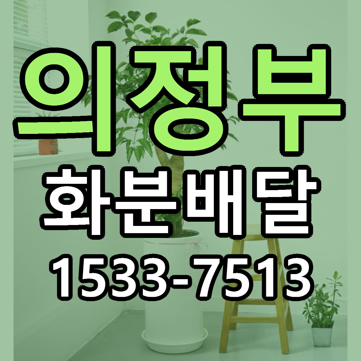 의정부 화분배달 빠른배송 가격 저렴한곳 찾기