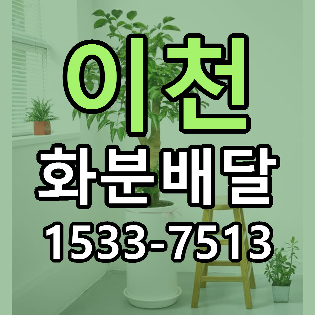 이천 화분배달 당일배송 싼곳 리본문구 안내