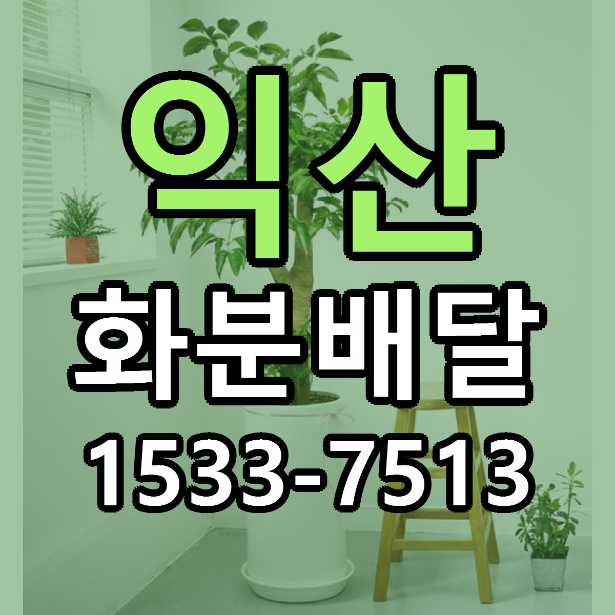 익산 화분배달 가격 만족 저렴한곳 리본문구 작성