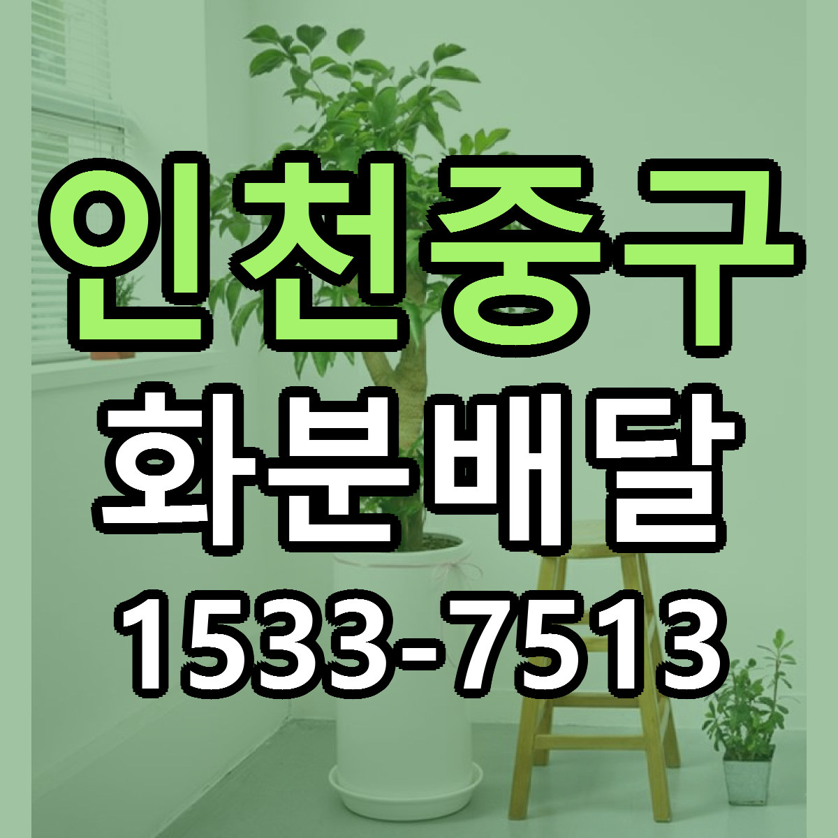 인천중구 화분배달 빠른배송 근처꽃집 가격 비교