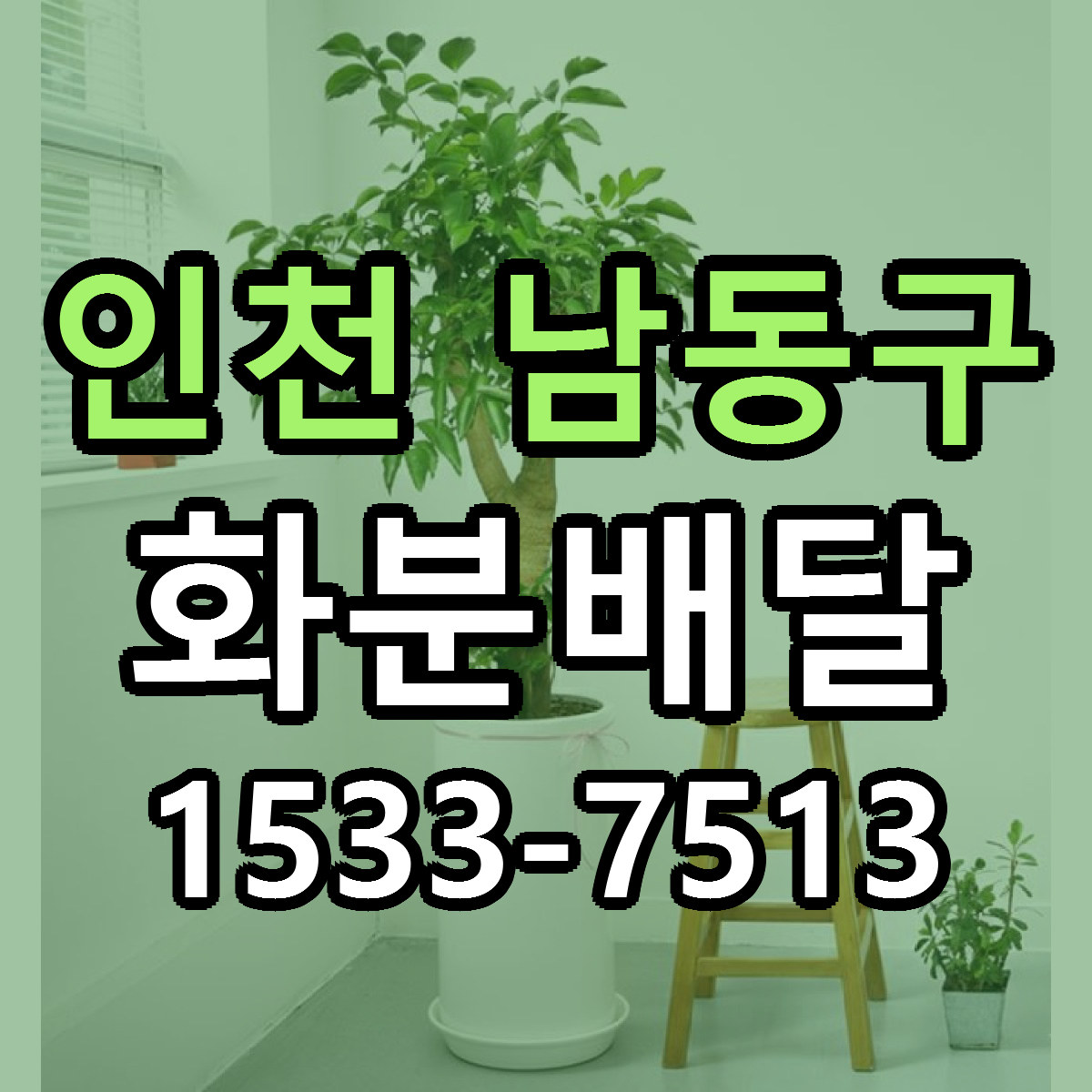 인천 남동구 화분배달 리본문구 서비스 저렴한곳 빠른배송