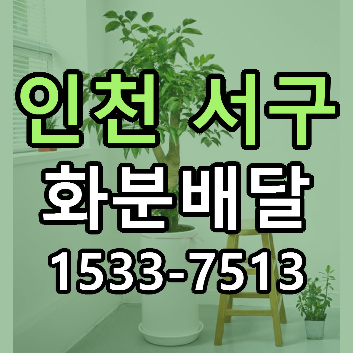 인천 서구 화분배달 당일배송 저렴한곳 리본문구 추천