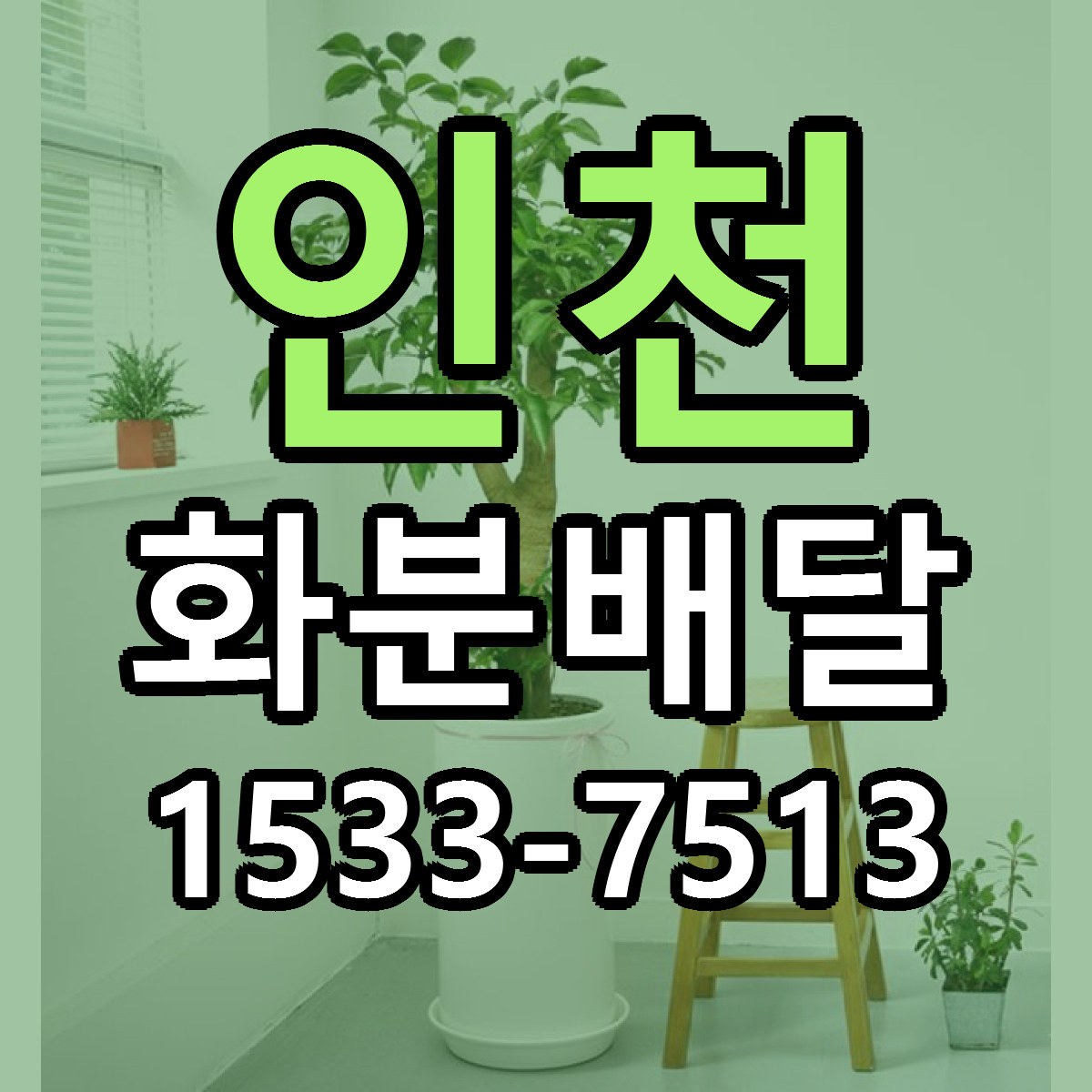 인천 화분배달 근처꽃집 당일배송 리본문구 서비스