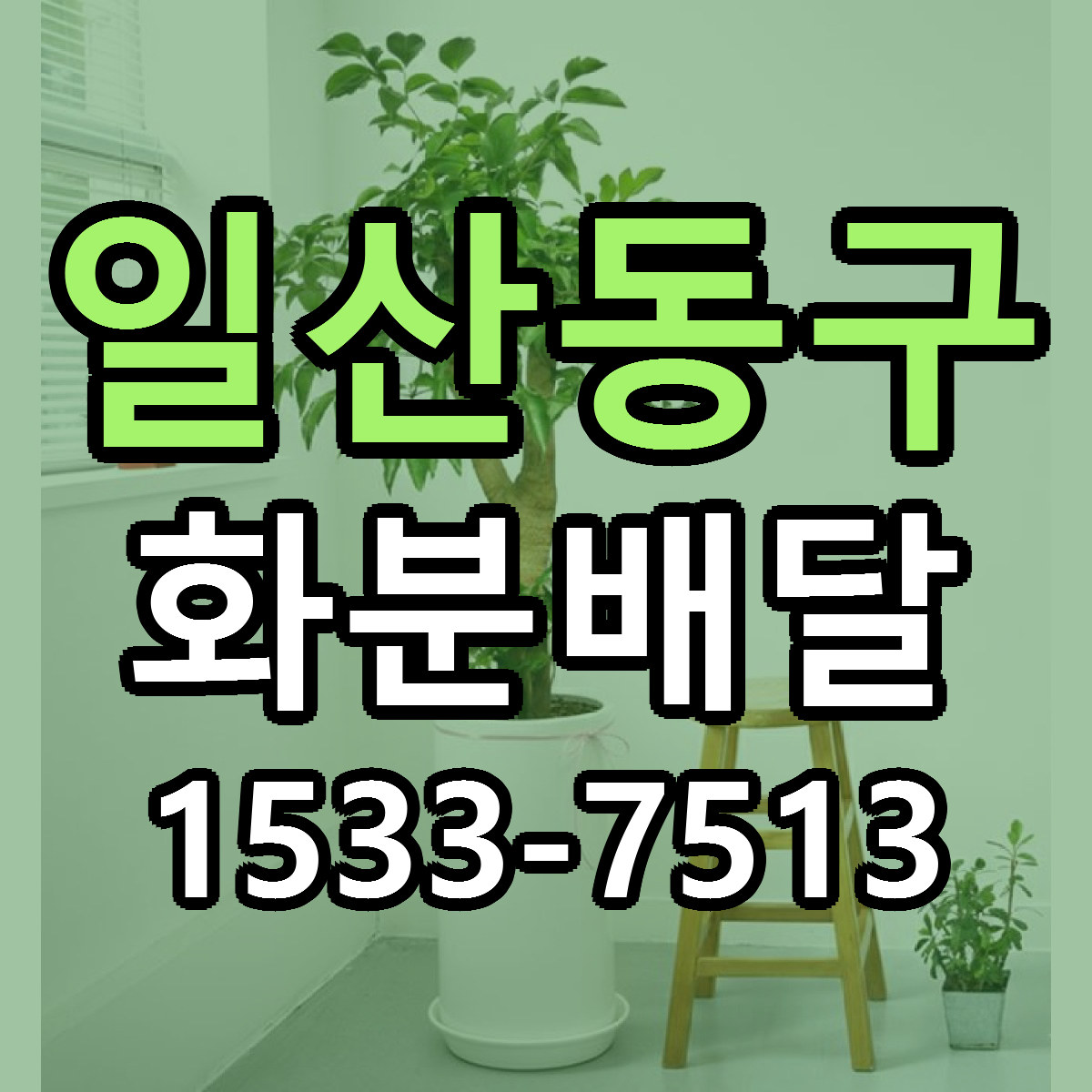 일산동구 화분배달 싼곳 빠른배송 리본문구 무료