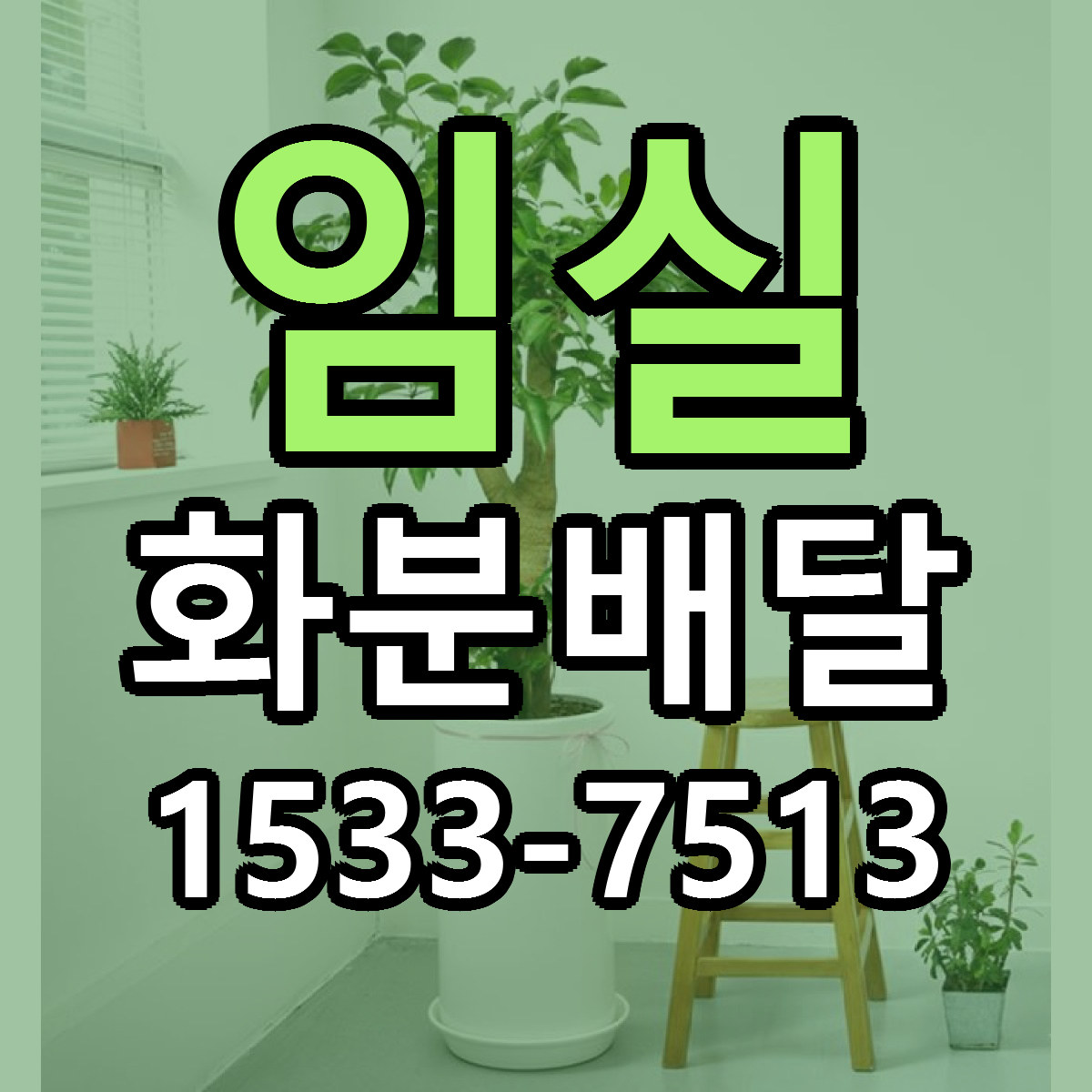 임실 화분배달 근처꽃집 당일배송 리본문구 서비스