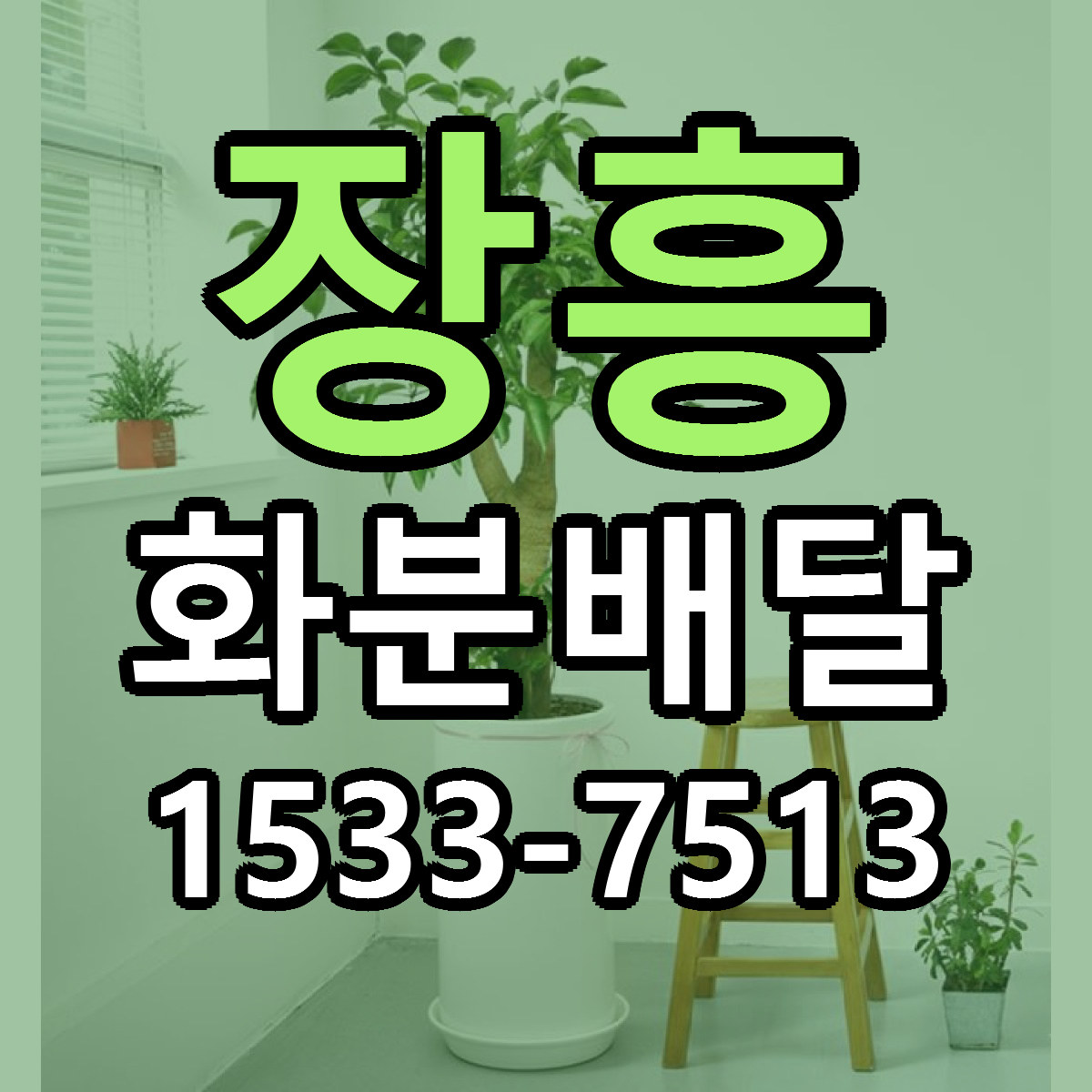 장흥 화분배달 당일배송 리본문구 빠른배송 서비스