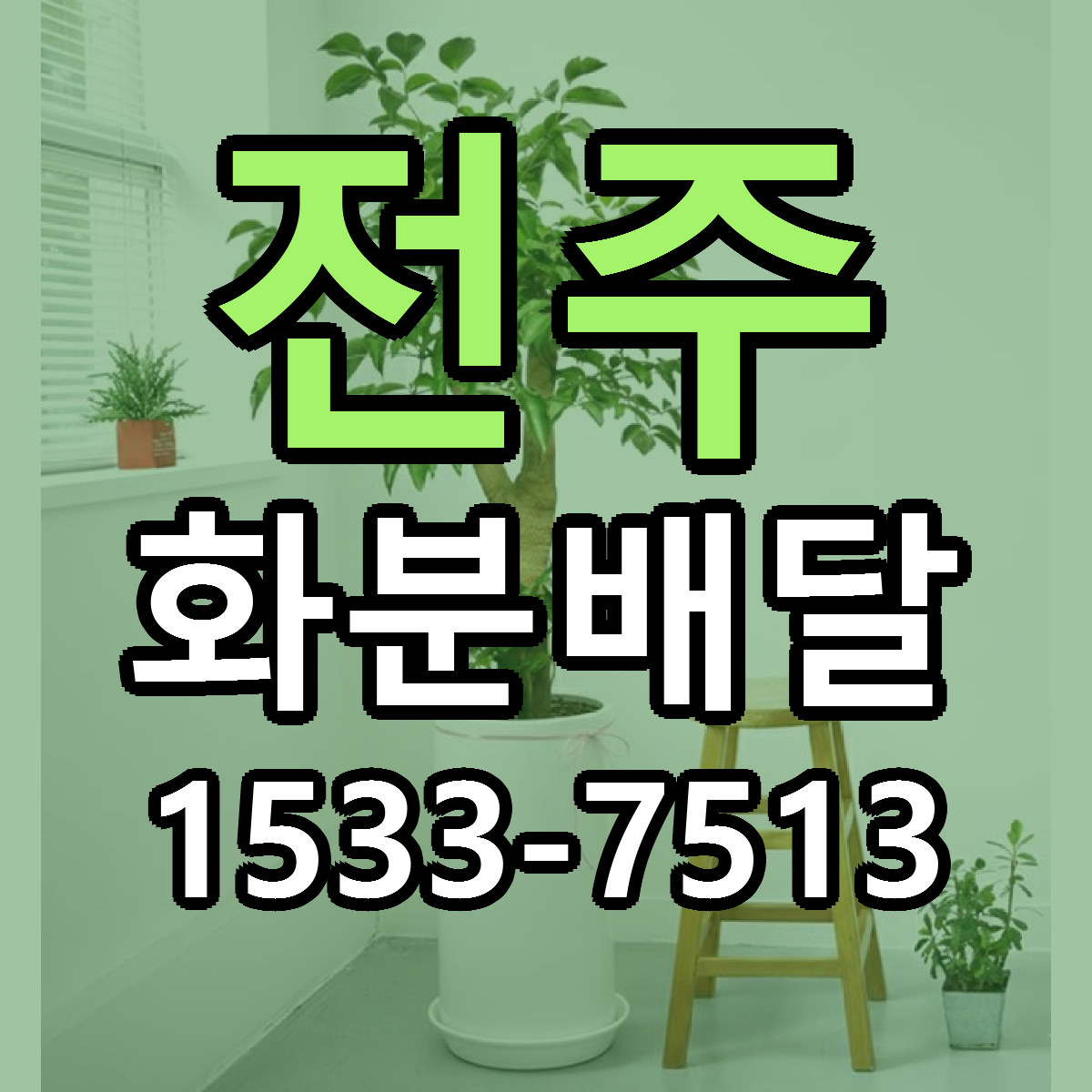 전주 화분배달 근처꽃집 당일배송 싼곳 추천