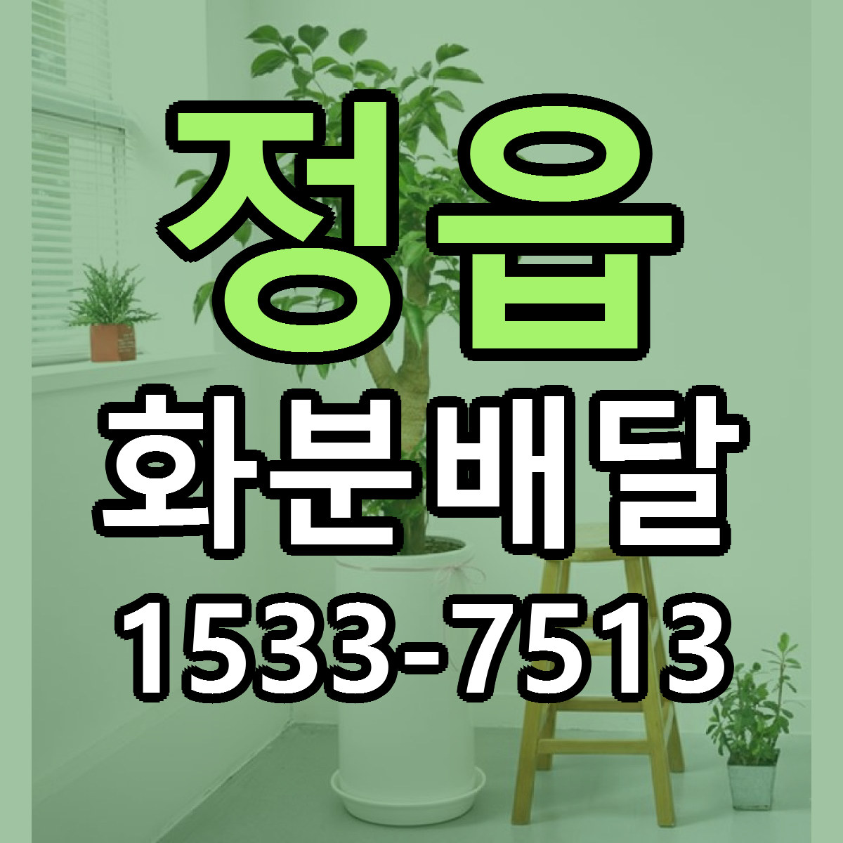 정읍 화분배달 당일배송 리본문구 싼곳 찾기