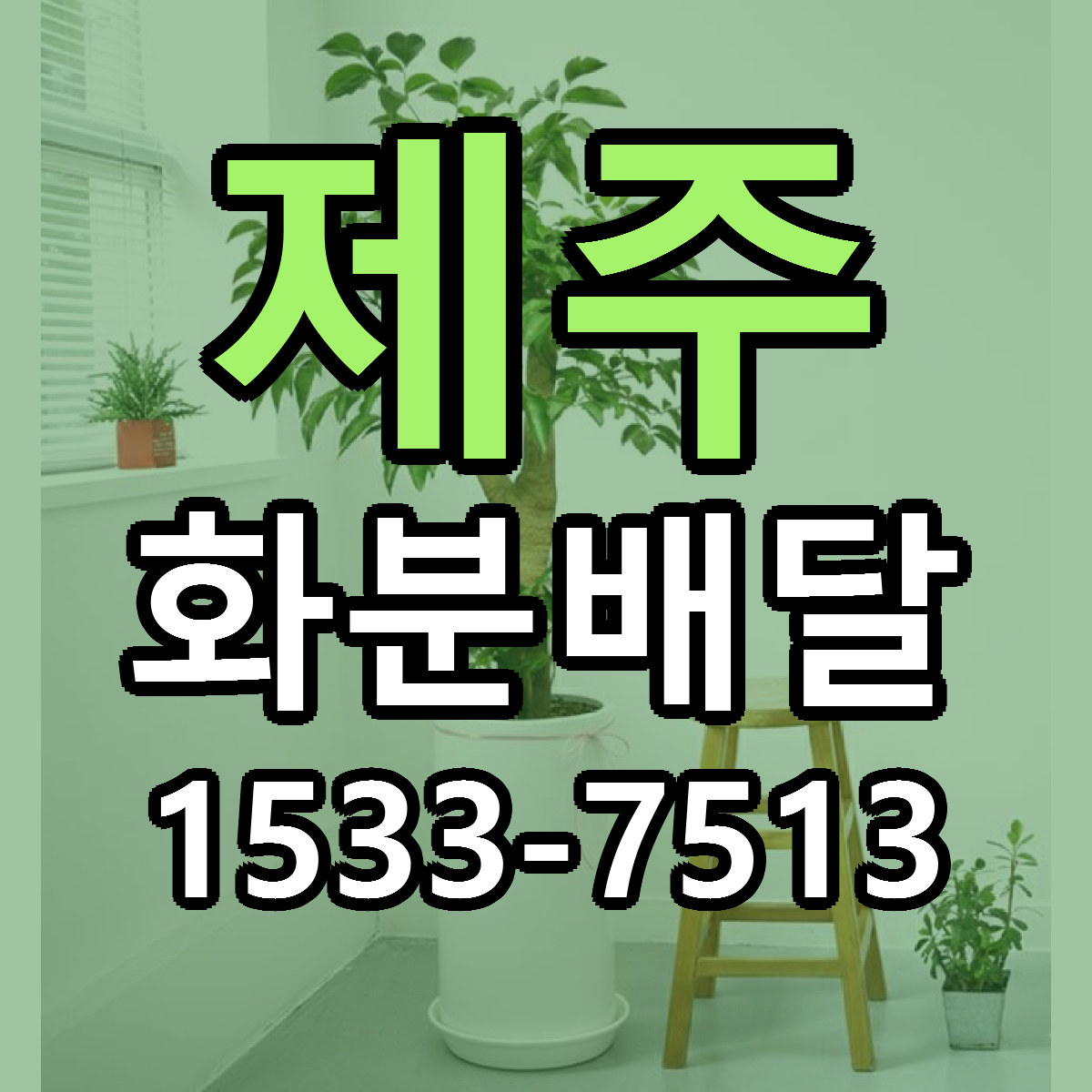 제주 화분배달 당일배송 리본문구 빠른배송 서비스
