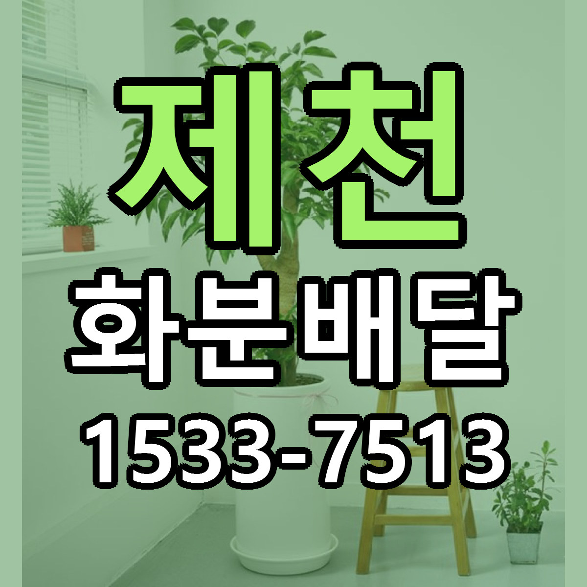 제천 화분배달 당일배송 리본문구 싼곳 찾기