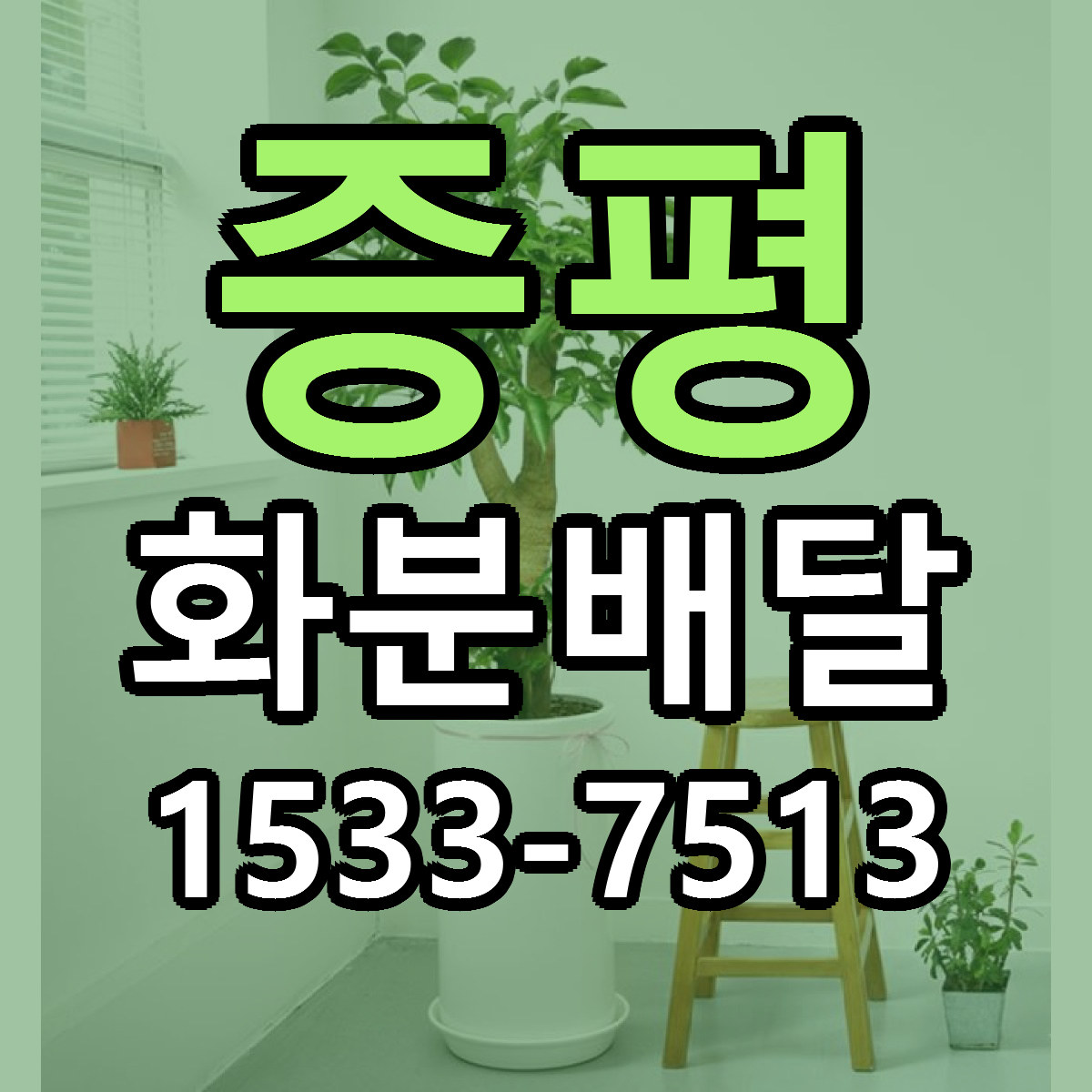 증평 화분배달 근처꽃집 당일배송 가격 안내