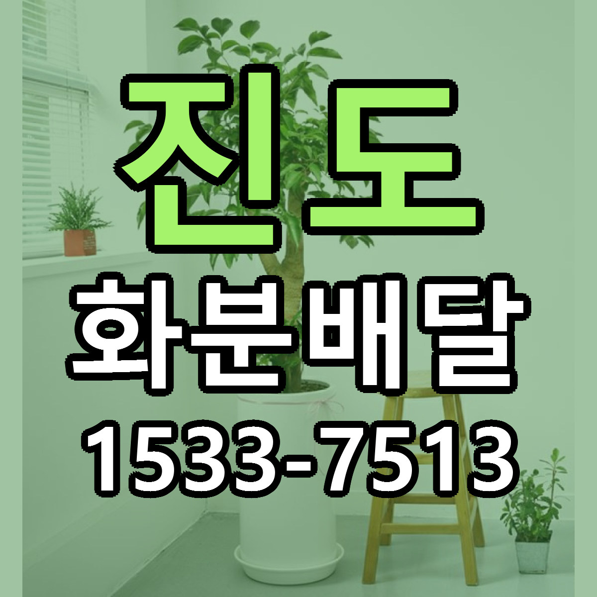 진도 화분배달 당일배송 리본문구 빠른배송 서비스