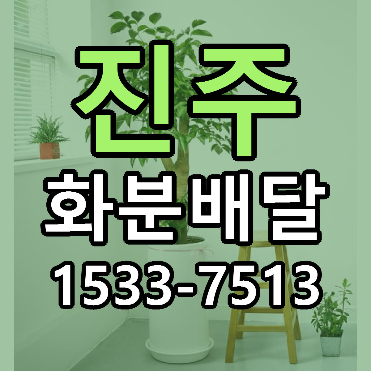 진주 화분배달 저렴한곳 당일배송 가격 만족