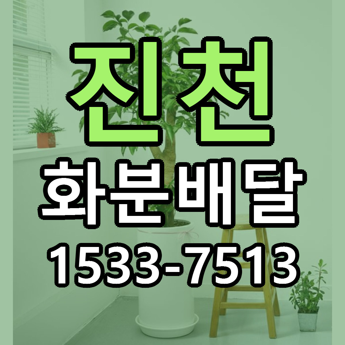 진천 화분배달 근처꽃집 당일배송 리본문구 서비스