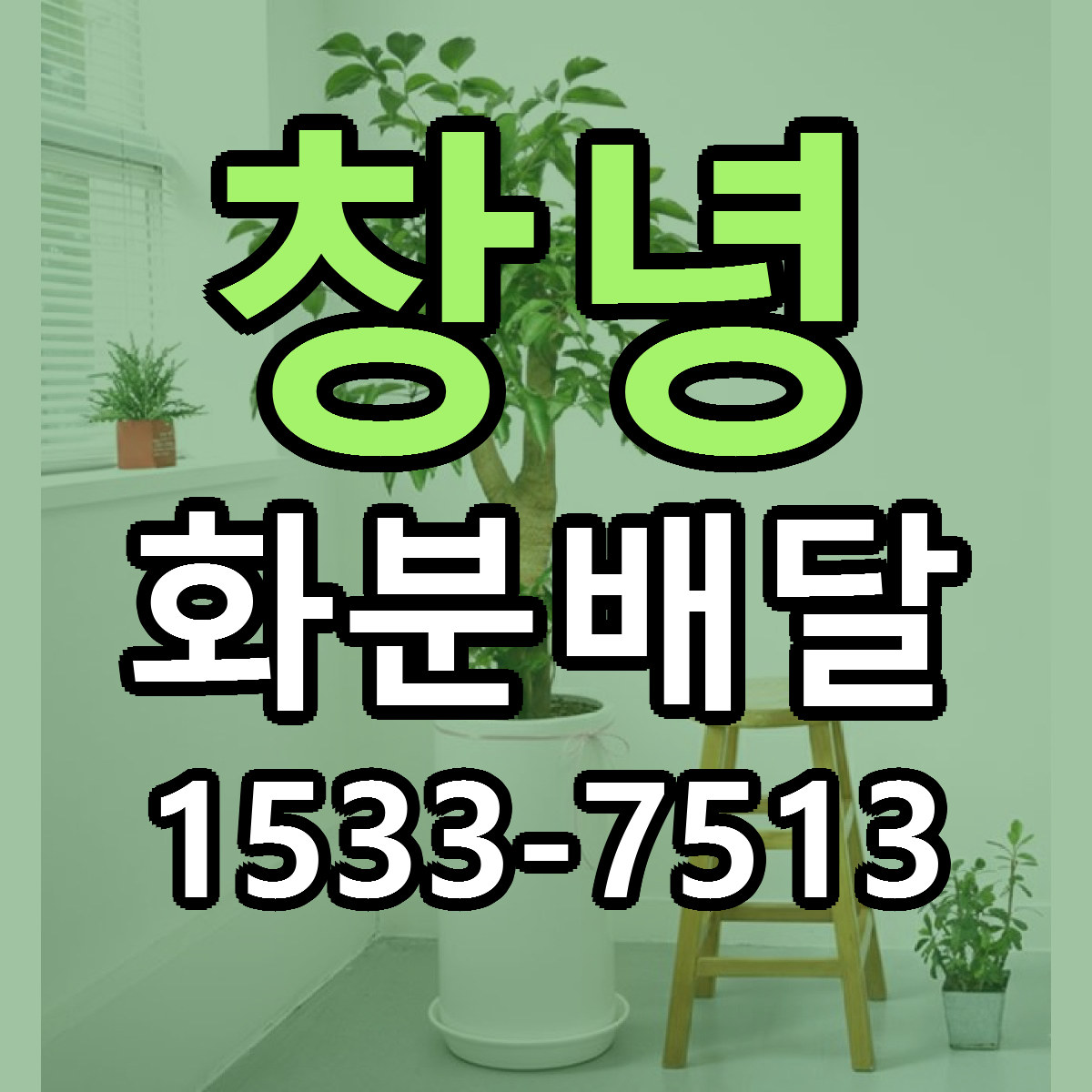 창녕 화분배달 근처꽃집 당일배송 싼곳 추천