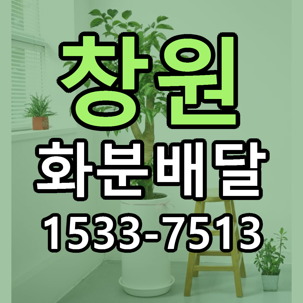 창원 화분배달 빠른배송 싼곳 가격 문의