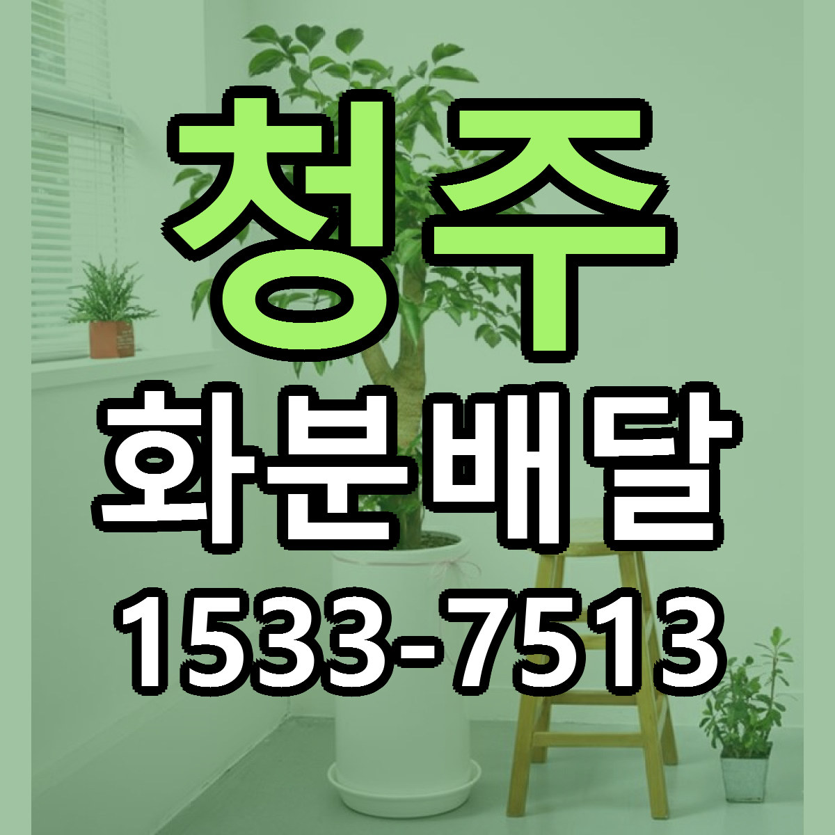 청주 화분배달 근처꽃집 저렴한곳 빠른배송 서비스