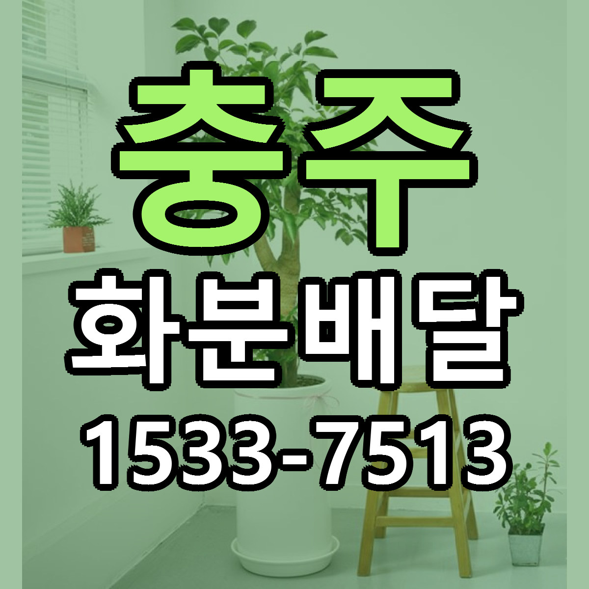 충주 화분배달 근처꽃집 가격 저렴한곳 안내