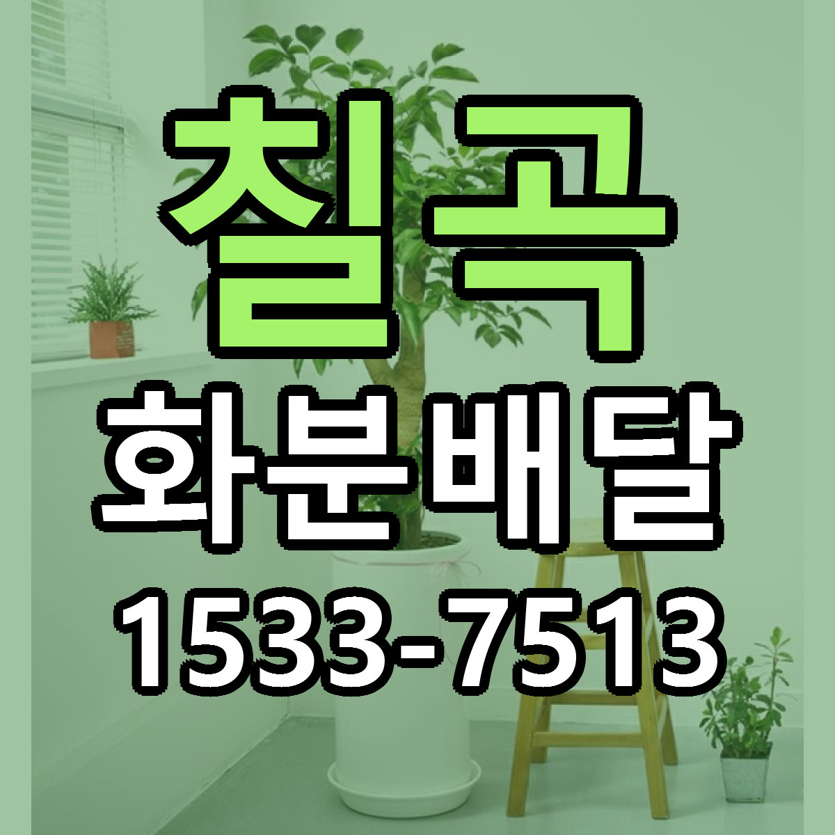 칠곡 화분배달 빠른배송 근처꽃집 가격 비교
